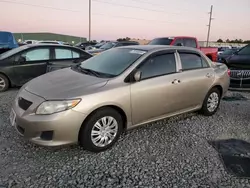 Salvage cars for sale from Copart Tifton, GA: 2010 Toyota Corolla Base