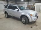 2010 Ford Escape Limited