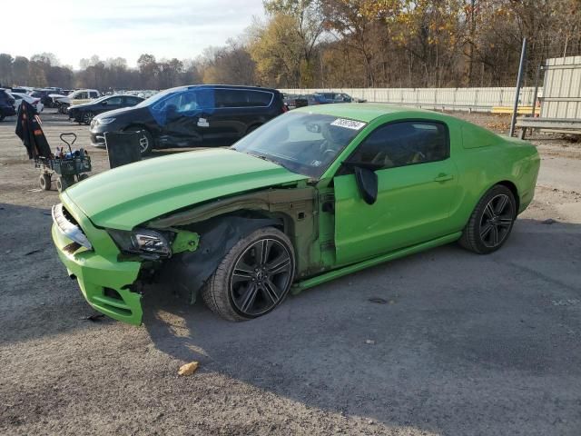 2013 Ford Mustang