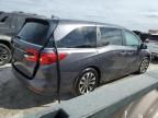 2024 Honda Odyssey EXL