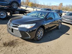 Toyota Vehiculos salvage en venta: 2016 Toyota Camry Hybrid