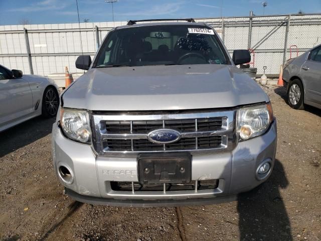 2009 Ford Escape XLT