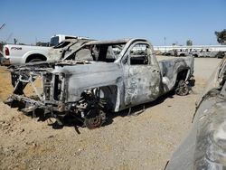 Salvage cars for sale at Bakersfield, CA auction: 2014 Chevrolet Silverado C1500