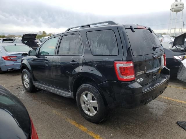 2010 Ford Escape XLT