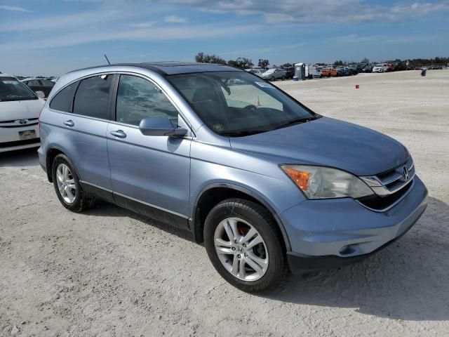 2010 Honda CR-V EXL