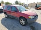 2005 Ford Escape XLT