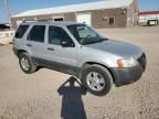 2003 Ford Escape XLT