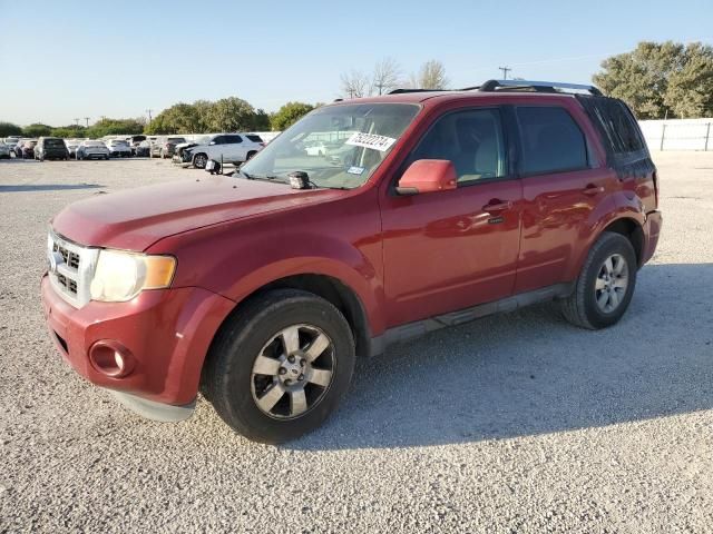 2011 Ford Escape Limited