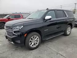 Salvage cars for sale at Sun Valley, CA auction: 2023 Chevrolet Tahoe K1500 Premier