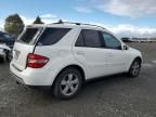 2006 Mercedes-Benz ML 500