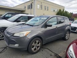 Ford salvage cars for sale: 2013 Ford Escape SE