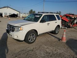 Ford salvage cars for sale: 2010 Ford Escape XLT