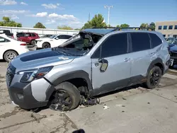 2023 Subaru Forester Wilderness en venta en Littleton, CO