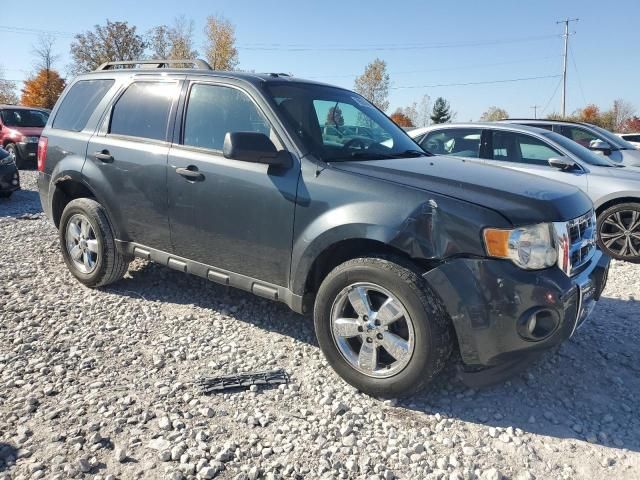 2009 Ford Escape XLT