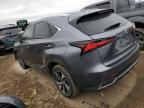 2019 Lexus NX 300H