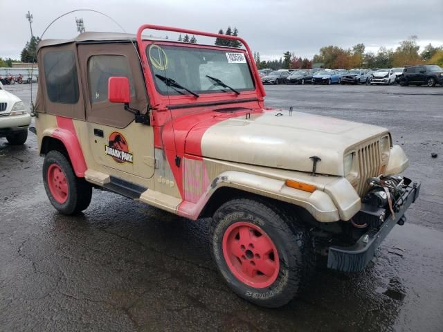 1993 Jeep Wrangler / YJ