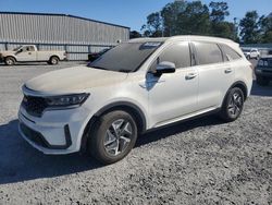 Salvage cars for sale at Gastonia, NC auction: 2021 KIA Sorento EX