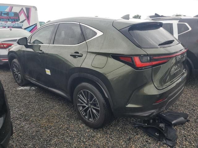 2024 Lexus NX 350H Base