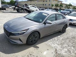 Salvage cars for sale from Copart Opa Locka, FL: 2023 Hyundai Elantra SEL