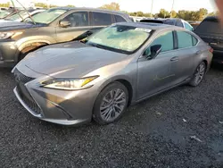 Flood-damaged cars for sale at auction: 2020 Lexus ES 300H