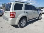 2009 Ford Escape XLT