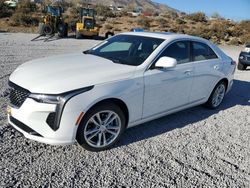 Salvage cars for sale at Reno, NV auction: 2021 Cadillac CT4 Luxury