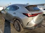 2023 Lexus NX 250