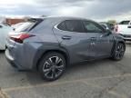 2019 Lexus UX 200