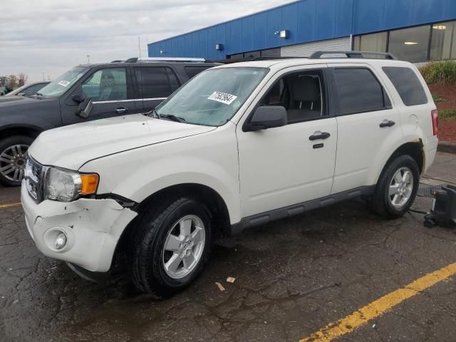 2010 Ford Escape XLT