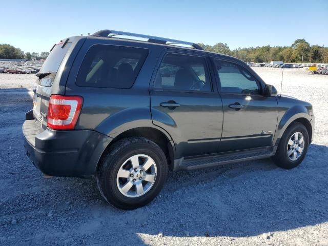 2010 Ford Escape Hybrid