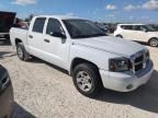 2006 Dodge Dakota Quad SLT