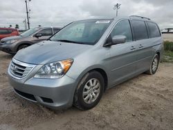 Salvage cars for sale from Copart Arcadia, FL: 2010 Honda Odyssey EXL