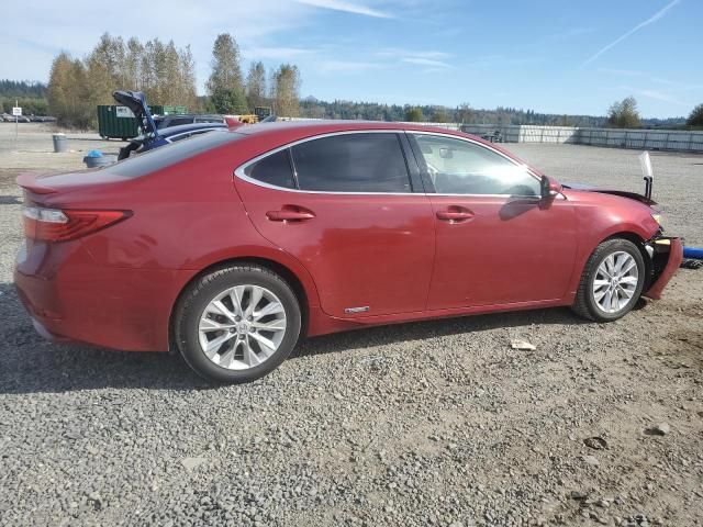 2014 Lexus ES 300H