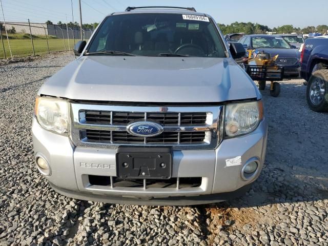 2011 Ford Escape XLT