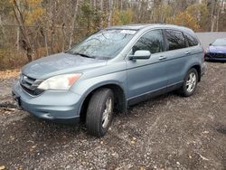 Honda salvage cars for sale: 2010 Honda CR-V EXL