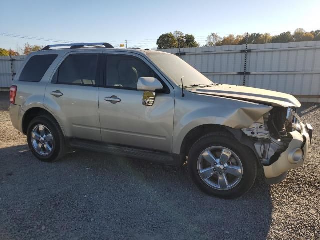 2011 Ford Escape Limited