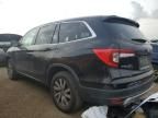 2019 Honda Pilot EXL