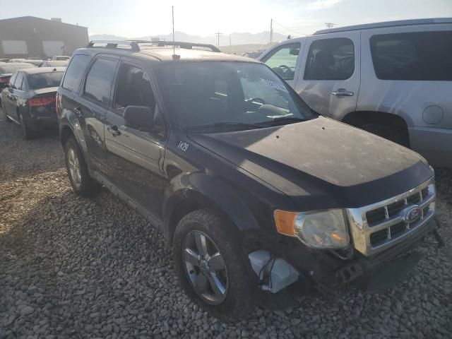 2010 Ford Escape Limited