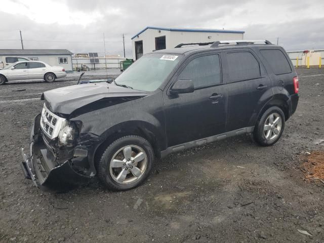 2011 Ford Escape Limited