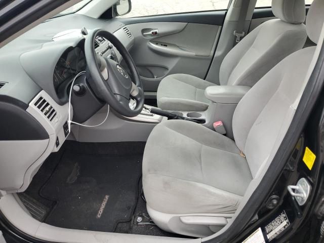 2011 Toyota Corolla Base