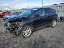 Salvage cars for sale at Ottawa, ON auction: 2017 Ford Escape SE