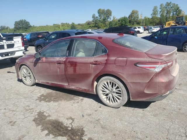 2019 Toyota Camry L