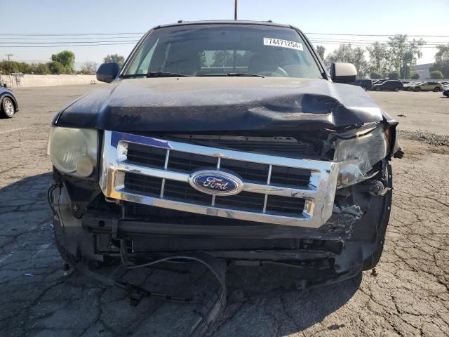 2008 Ford Escape XLT