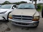 2002 Dodge Dakota SLT