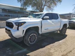 Salvage cars for sale at Albuquerque, NM auction: 2024 Toyota Tacoma Double Cab