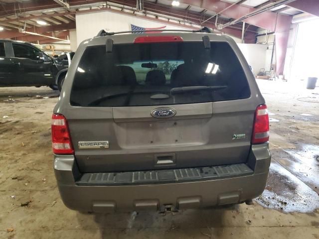 2012 Ford Escape XLT