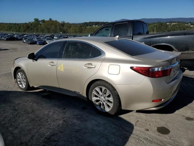 2013 Lexus ES 300H