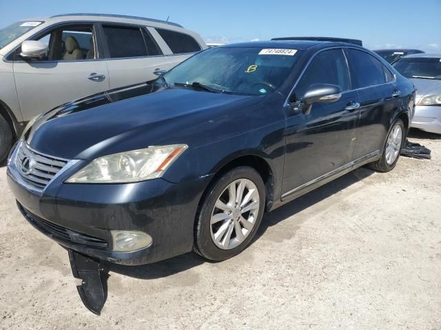 2010 Lexus ES 350