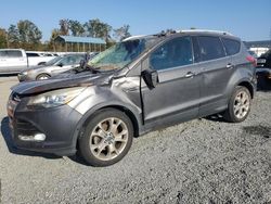 Salvage cars for sale at Spartanburg, SC auction: 2014 Ford Escape Titanium