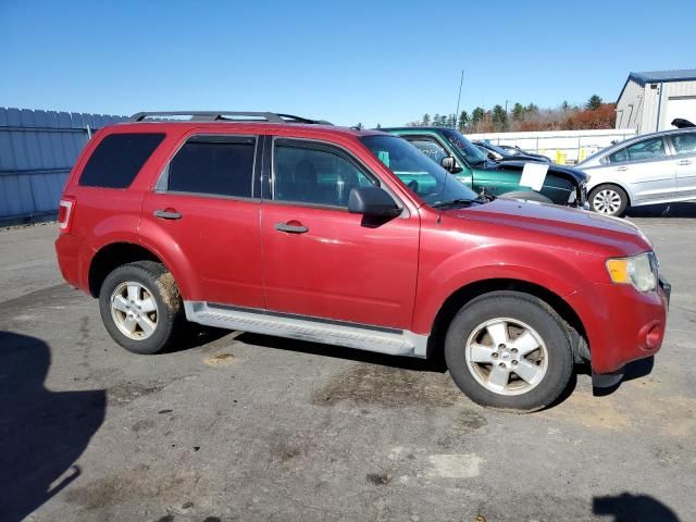 2010 Ford Escape XLT